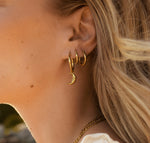 Charger l'image dans la galerie, La Moonlight