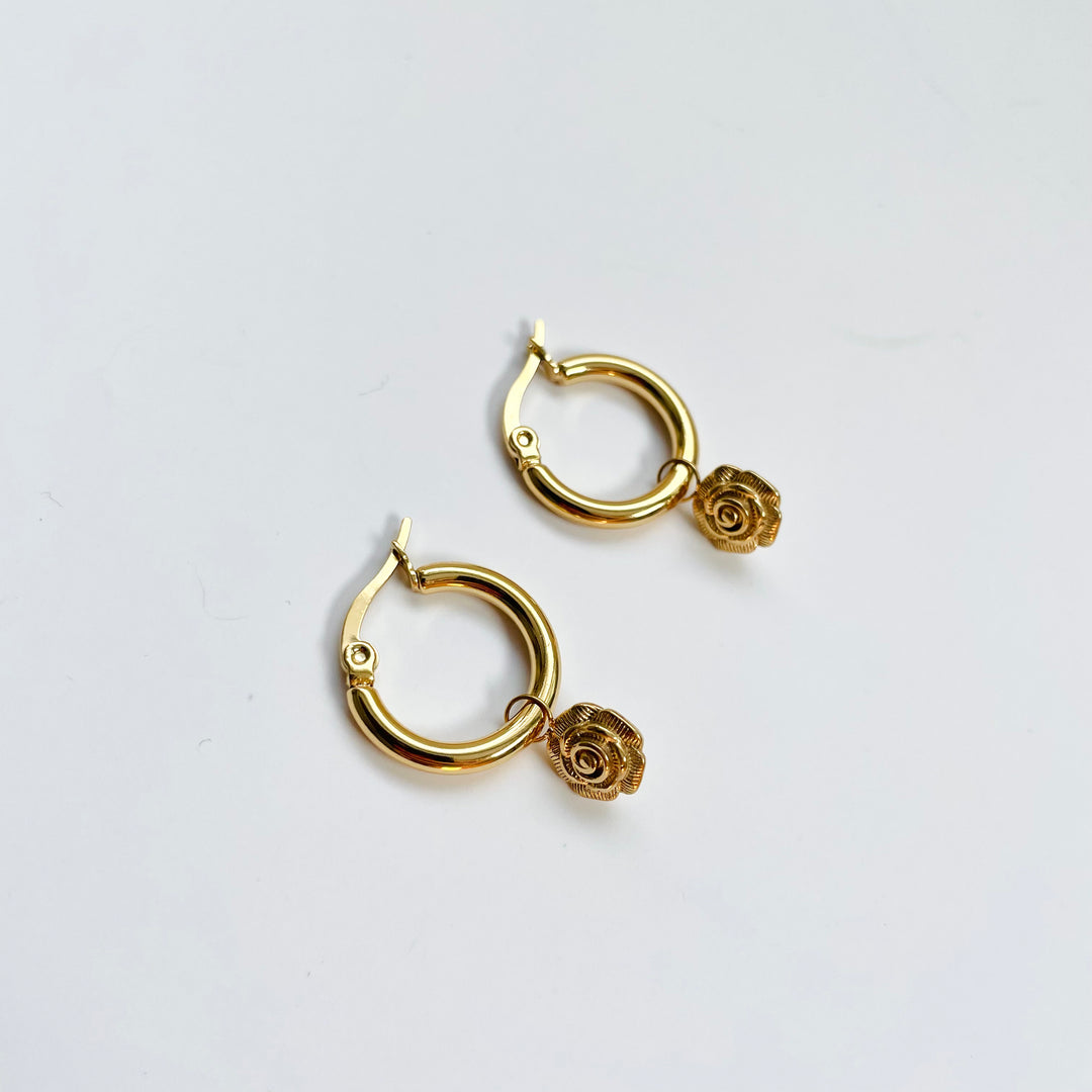 Ensemble Jardin Secret – Édition Black Friday